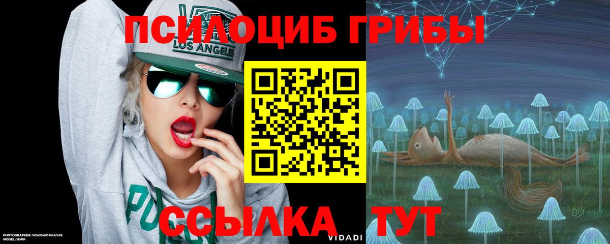 Дмитров  Галлюциногенные грибы MAGIC MUSHROOMS  Вход с VPN 